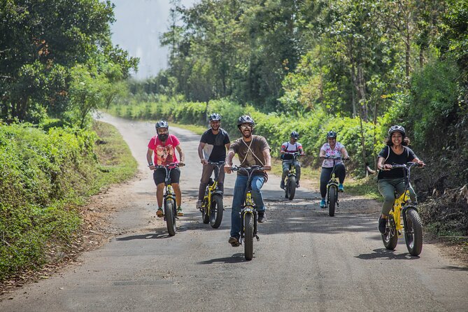 BLive Electric Bike Tours – Vibes of Vagator - Tour Highlights and Inclusions