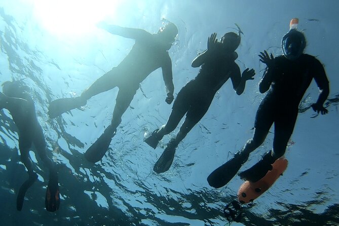 Blue Lagoon & Caves Comino Snorkeling Tour, Boat & Guide - Additional Tour Information