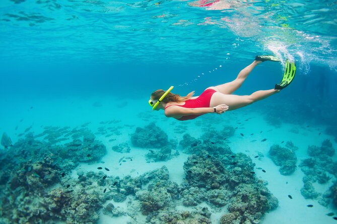 Boat Dive and Snorkeling Experience in Aqaba - The Sum Up