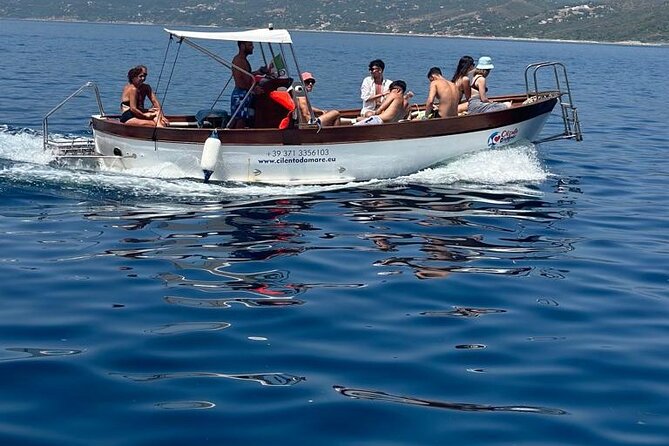 Boat Experience in the Crystal Clear Waters of Cilento - Transportation and Accessibility