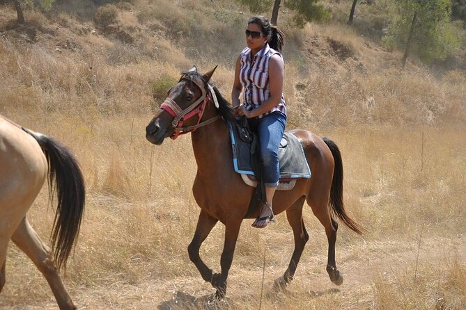 Bodrum Horse Safari - DVD Meeting and Pickup Inclusions