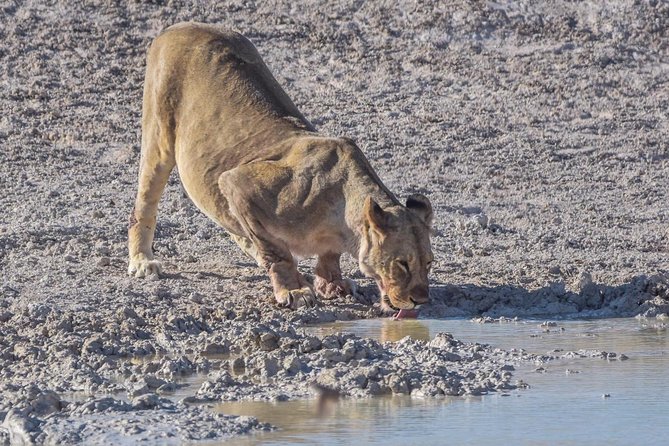 Botswana-Chobe National Park Savuti 3 Nights Camping - Accommodation Details
