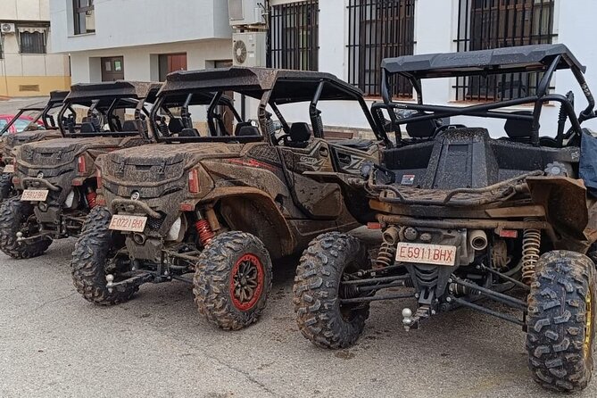 Buggy Tour Through Beaches and Viewpoints. - Customer Reviews