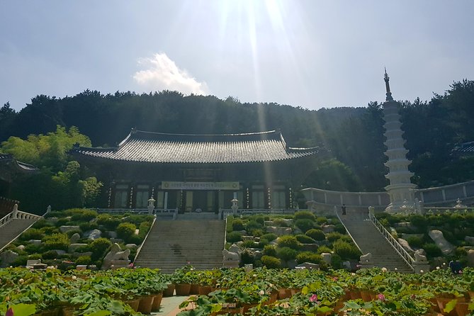 Busan Shore Excursion Tour With Gamcheon Culture Village - Cancellation Policy
