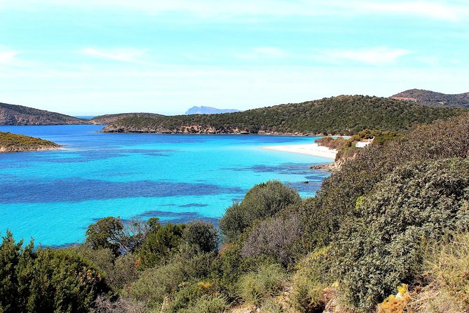 Cagliari: Full-Day Fishing Tourism From Teulada - Highlights