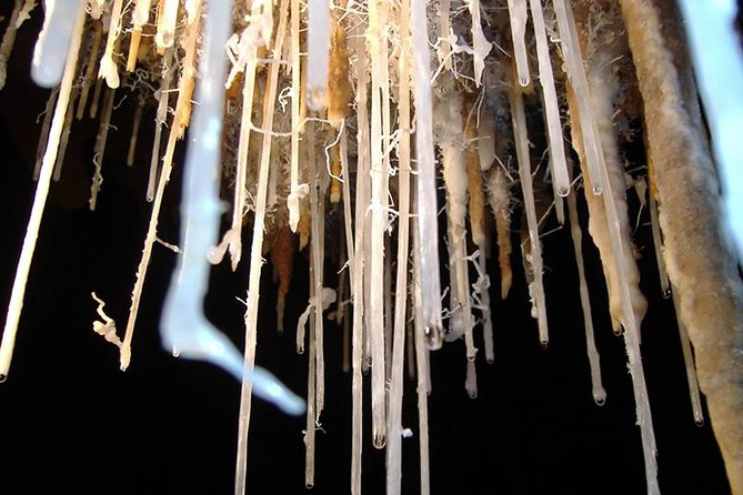 Cagliari Private Shore Excursion: The Beauty of Is Zuddas Caves Experience - Tour Highlights