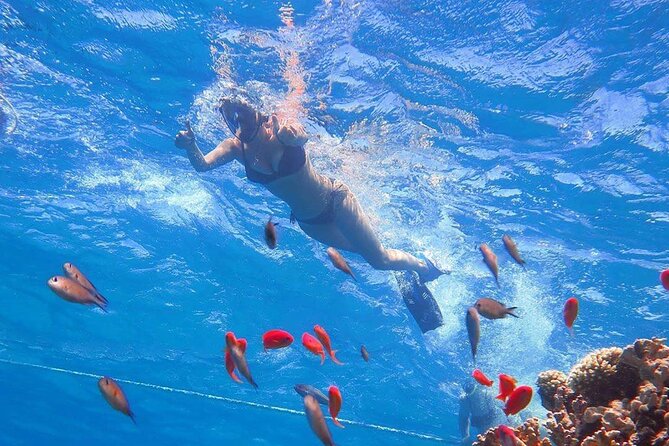 Cairo & Sharm El Sheikh Travel Package - Pricing and Payment