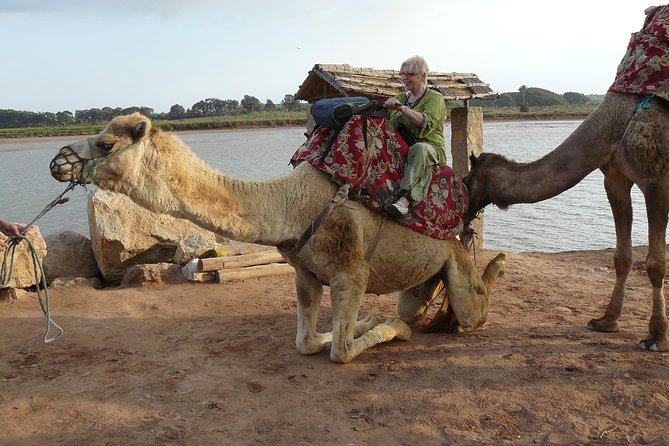 Camel Agadir - Price and Booking