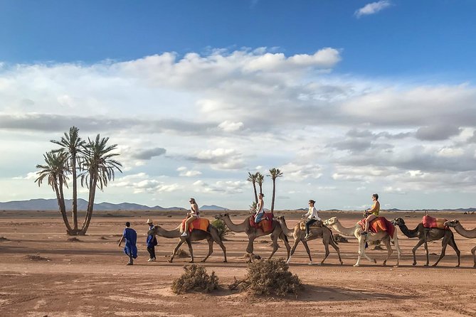 Camel Ride and Quad Bike in Palmeraie - Customer Reviews