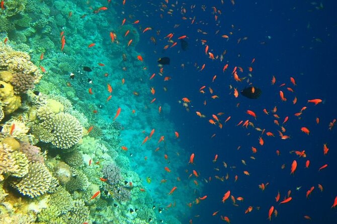 Camel Ride + Blue Hole Snorkeling + Quad Bike Tour With Lunch From Dahab - Directions