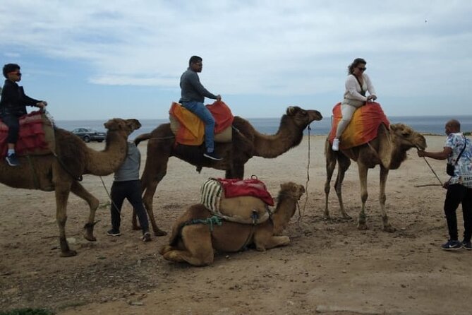 Camel Ride in Tangier