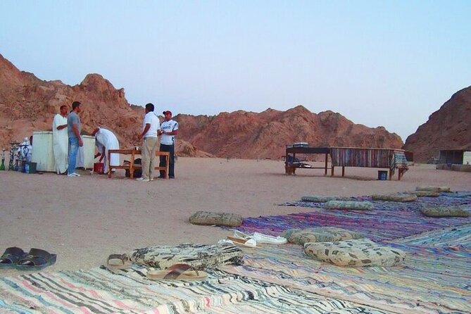 Camel Riding and Bedouin Dinner and Stargazer From Sharm El Sheikh - Pricing and Payment