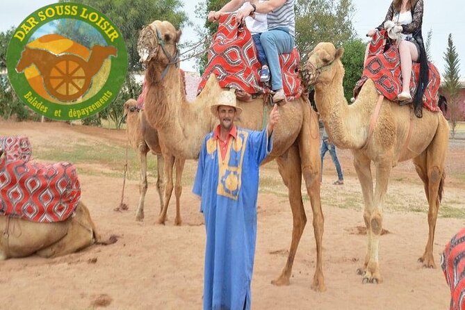 Camel Riding in Agadir for Cruise Ship Passengers - Reviews