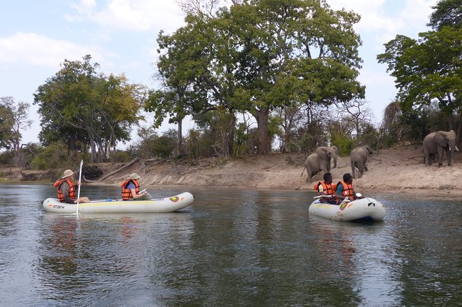 Canoeing With Wildlife Sightings - Reviews and Ratings