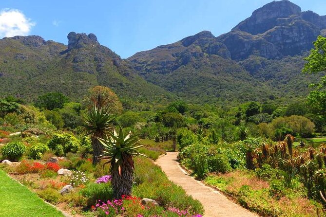 Cape Town - Kirstenbosch Botanic Gardens and City Tour - Kirstenbosch Botanic Gardens Highlights