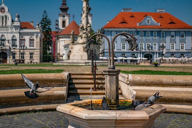 Capture the Most Photogenic Spots of TimișOara With a Local - Booking Information
