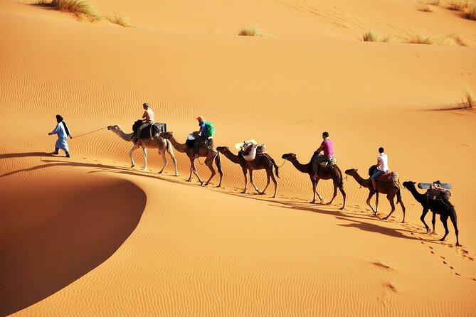 Casablanca Desert Tours 8 Days 7 Nights - Accommodation Details