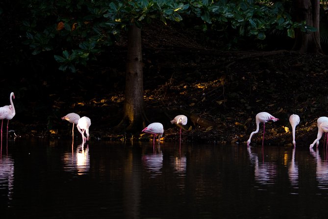Casela World of Adventures, West of Mauritius - Full Day With Lunch - Frequently Asked Questions