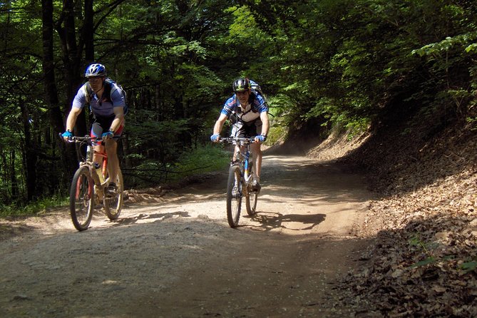 Cave, Hike, Bike and Explore the Western Carpathians,Transylvania,Romania - Meeting and Pickup