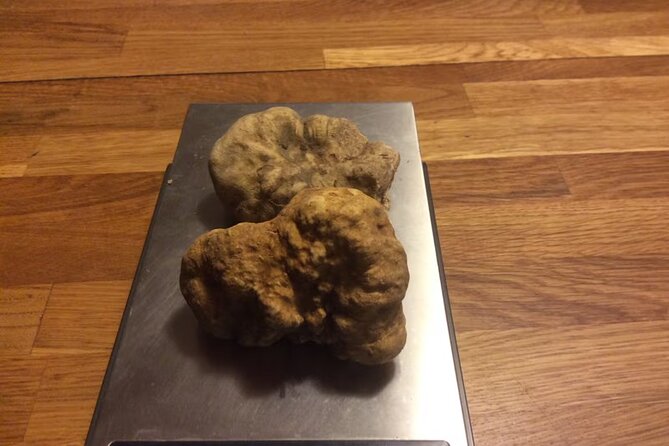 Cesarine: Truffle Hunt & Cooking Class With a Local in Asti - Directions for the Experience