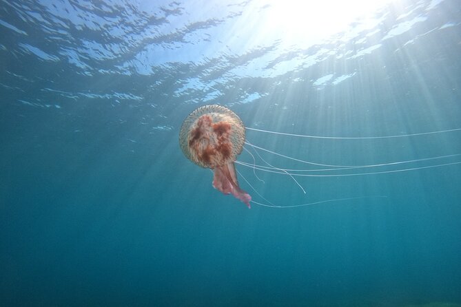 Chania Guided Snorkeling and Boat Excursion - Booking Process