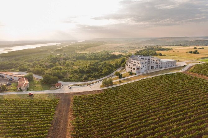 Chateau Burgozone Wine Tasting and Enchanting Danube River View - Included Beverages