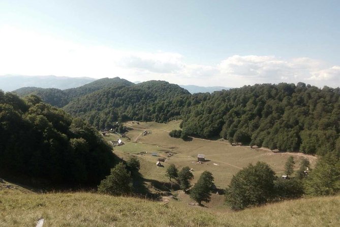 Cheese Farm Tour in the Katun - Location Details