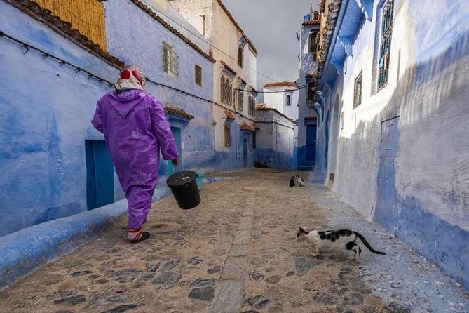 Chefchaouen Guided Tour From Fez With Skip the Line Access - Reviews and Ratings
