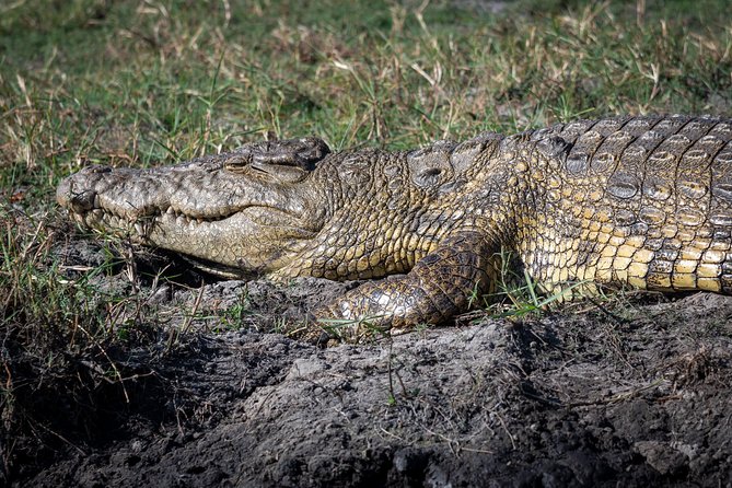 Chobe Day Trip - Booking Information