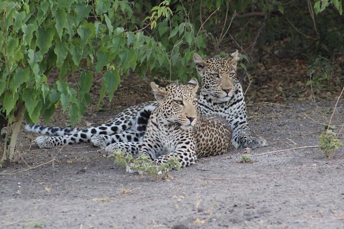 Chobe Day Trip - Directions