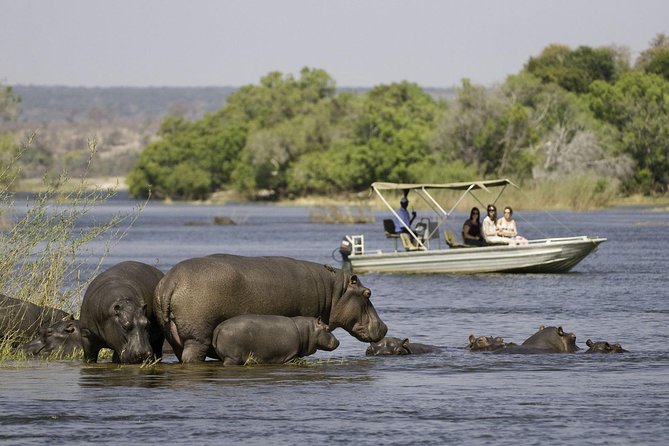 Chobe Extended Day Trip From Victoria Falls - Zimbabwe - Wildlife Viewing Opportunities