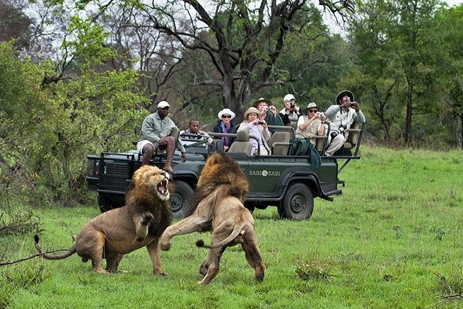 Chobe Full Day Trip - Trip Overview