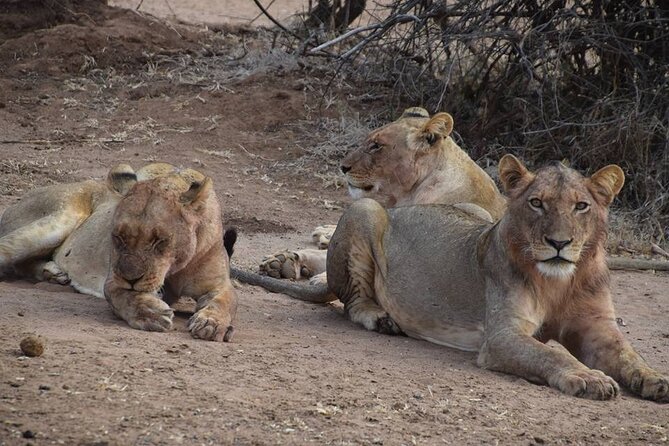 Chobe Full Day Trip - Frequently Asked Questions