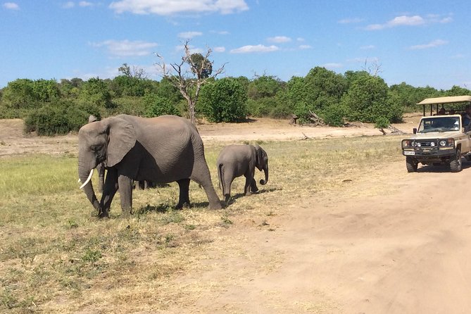 Chobe Full Day Trip - Additional Information