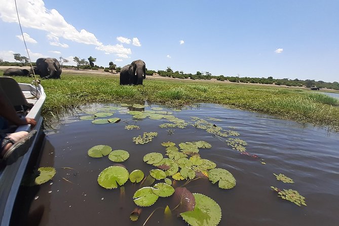 Chobe Half Day Trip - Directions and Logistics
