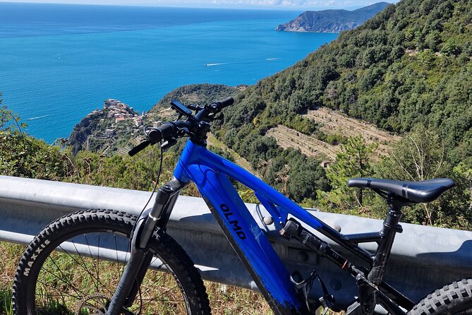 Cinque Terre Wine Bike Tour - Pricing and Payment Information