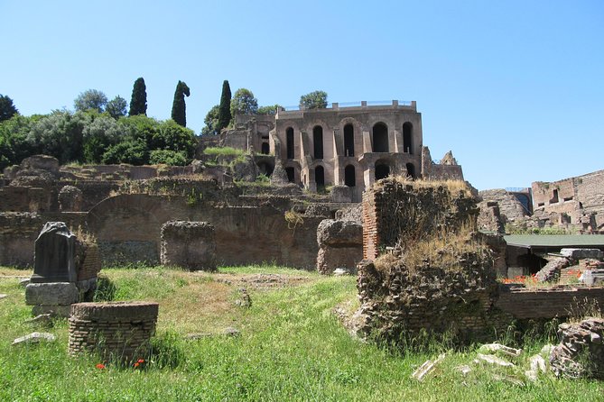 Colosseum Group Tour With Roman Forum and Palatine - What To Expect