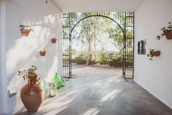 Cooking Classe in a Typical Farmhouse Surrounded by Olive Trees - Pricing and Reservation