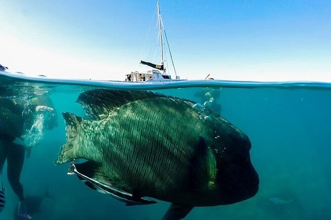 Coral Garden Reefs Snorkeling Boat Trip From Marsa Alam - National Park Admission Fees
