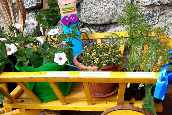 Creative Laboratory - Plants and Colours - Activity Directions