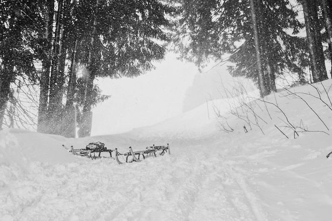 CROSS-COUNTRY SKIING: Winter Trip to Bohemia Mountains - Pickup Logistics