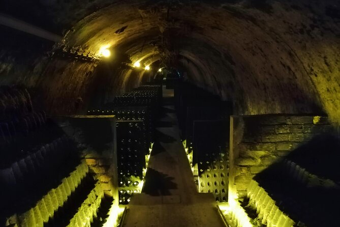 Cycling Vineyards of Bairrada Route, Full Day From Coimbra - Pricing Information