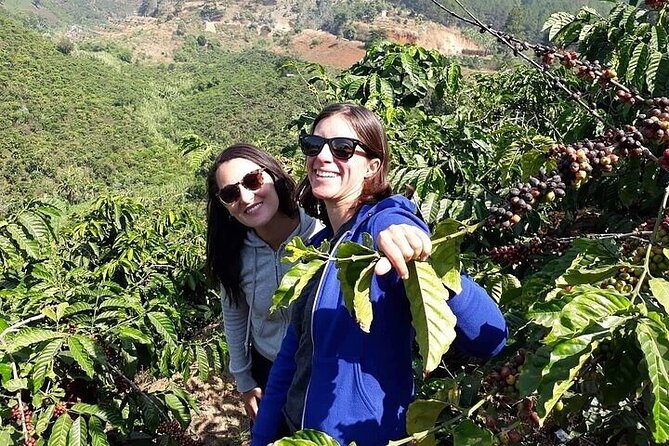 Da Lat Exploring Tour on Motorbike - Customer Reviews
