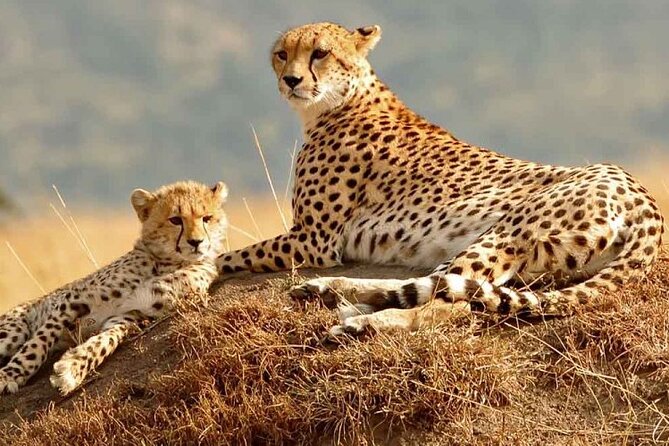 Daily Departures 3 Days Masai Mara by Landcruiser - Meeting and Pickup Details