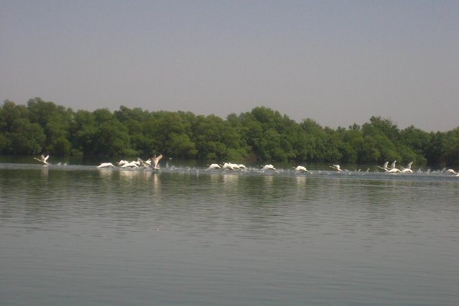 Daily Fishing in the Danube Delta With the Local Guide ... - Location and Meeting Point