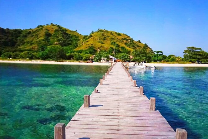 Daily Trip Highlight Komodo Archipelago by Speed Boat - The Sum Up