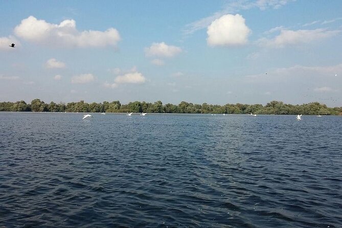 **Danube Delta Trips on the Camely Boat: Departing From Tulcea** - Booking Details