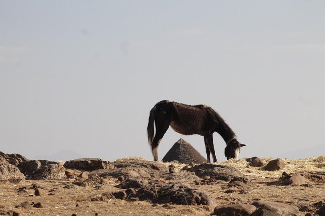 Day Hike Around Lalibela - Wildlife and Scenery