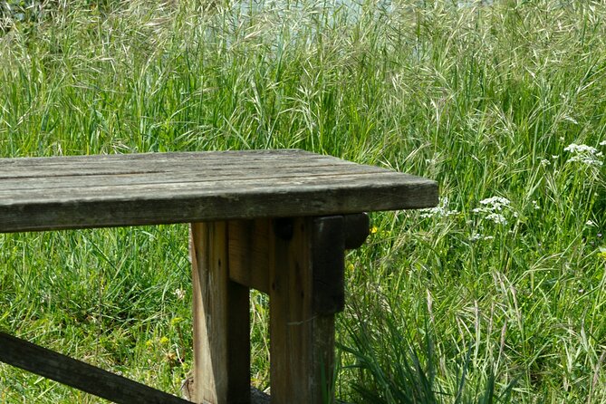 Day on a Guided Tour to Discover the Marches Castles - Meeting Point Details