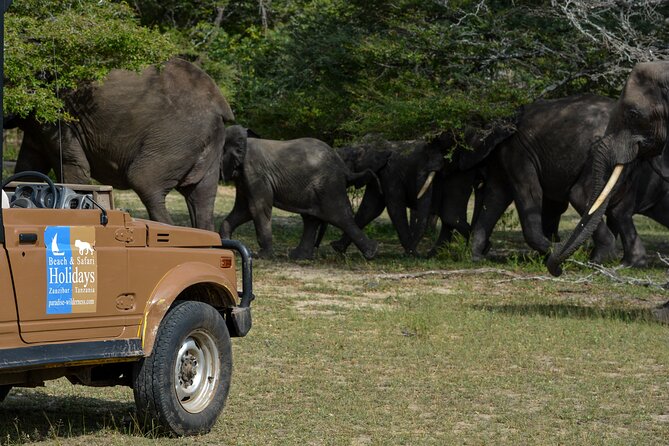 Day Safari Selous Game Reserve From Zanzibar Incl. Flights - Additional Information